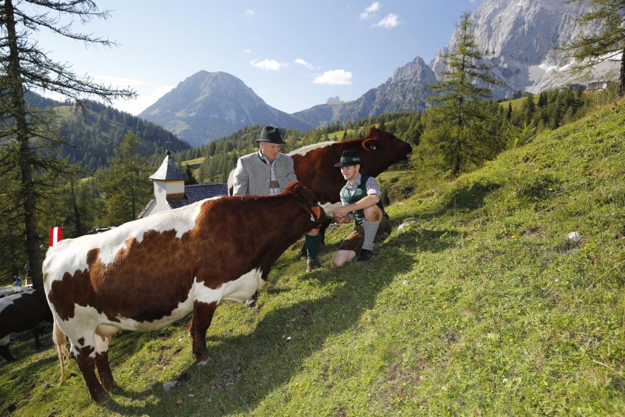 Brandhof - Chalet Am Berg Ramsau am Dachstein Kültér fotó