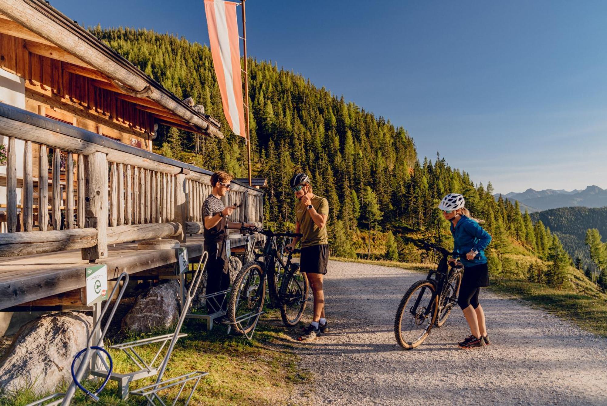 Brandhof - Chalet Am Berg Ramsau am Dachstein Kültér fotó